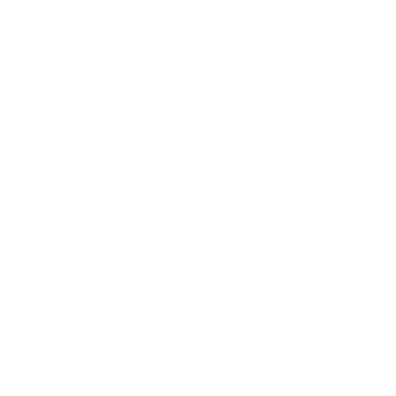ANBIZA logo, icon white