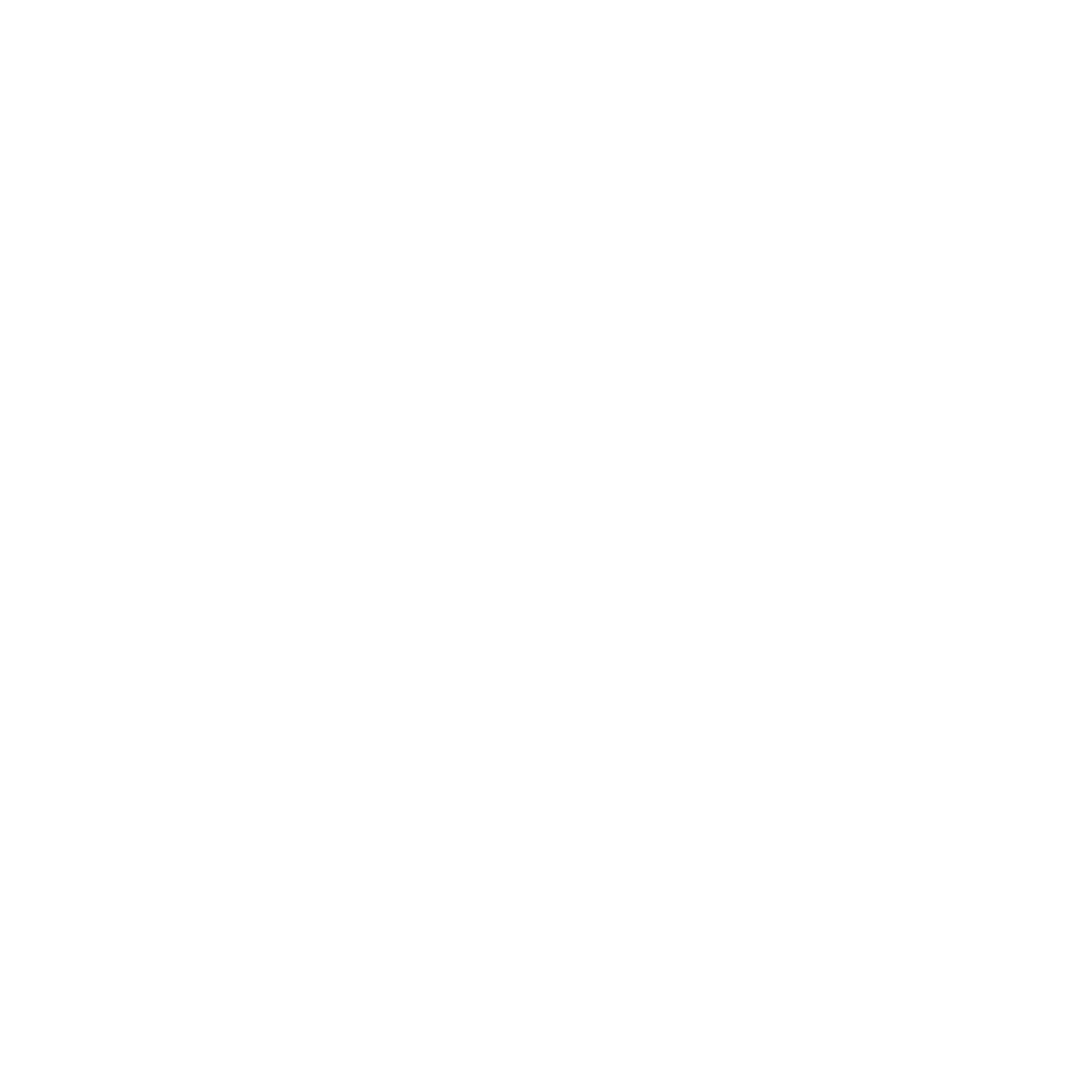 ANBIZA logo, stacked white